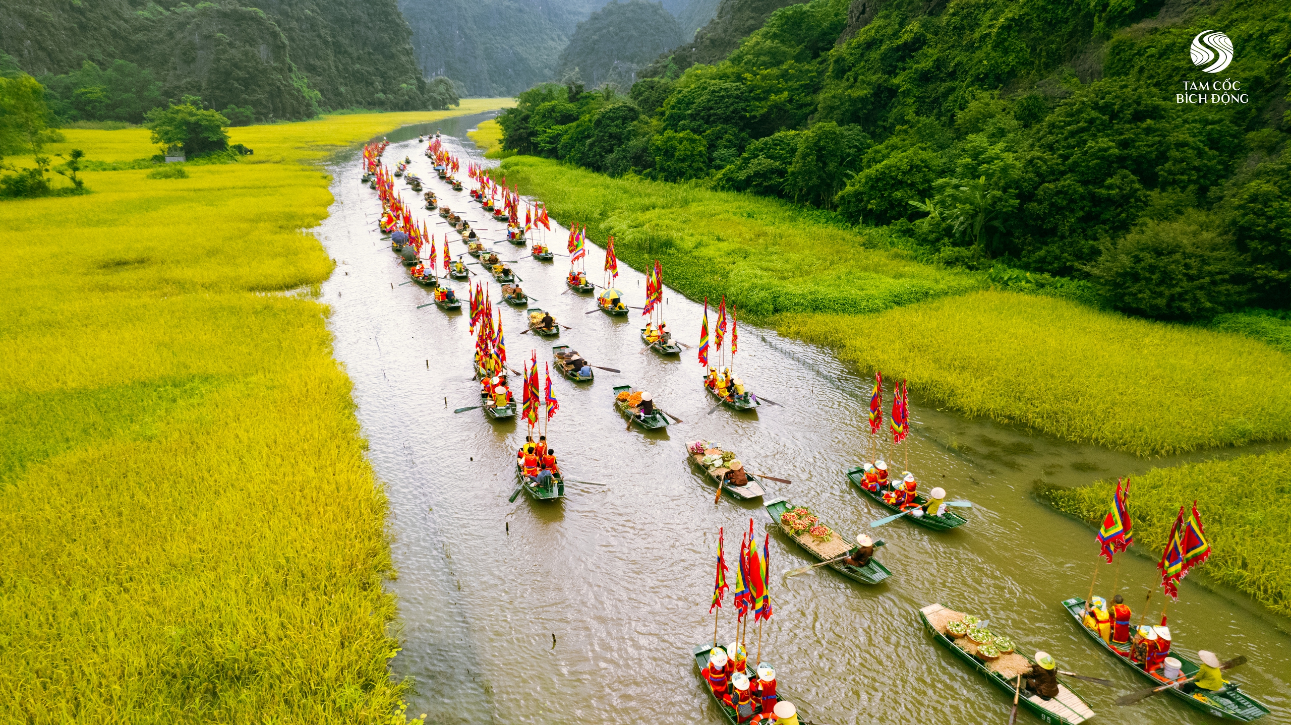 Sắc vàng lung linh mùa hội Tam Cốc - Tràng An- Ảnh 6.