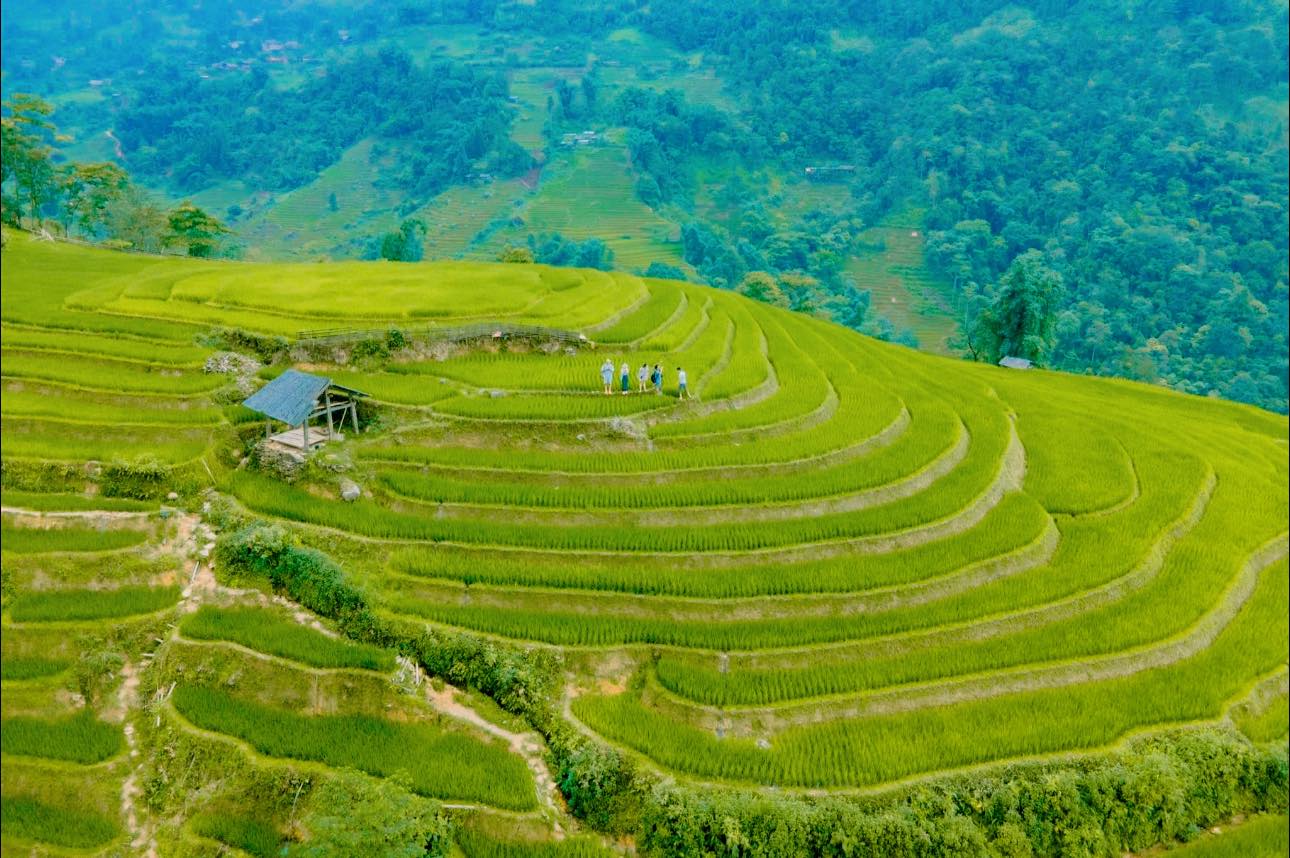 Có một nơi yên tĩnh đến mức đôi khi chỉ nghe thấy tiếng rì rào của lá, tiếng suối róc rách và tiếng gió thổi- Ảnh 2.