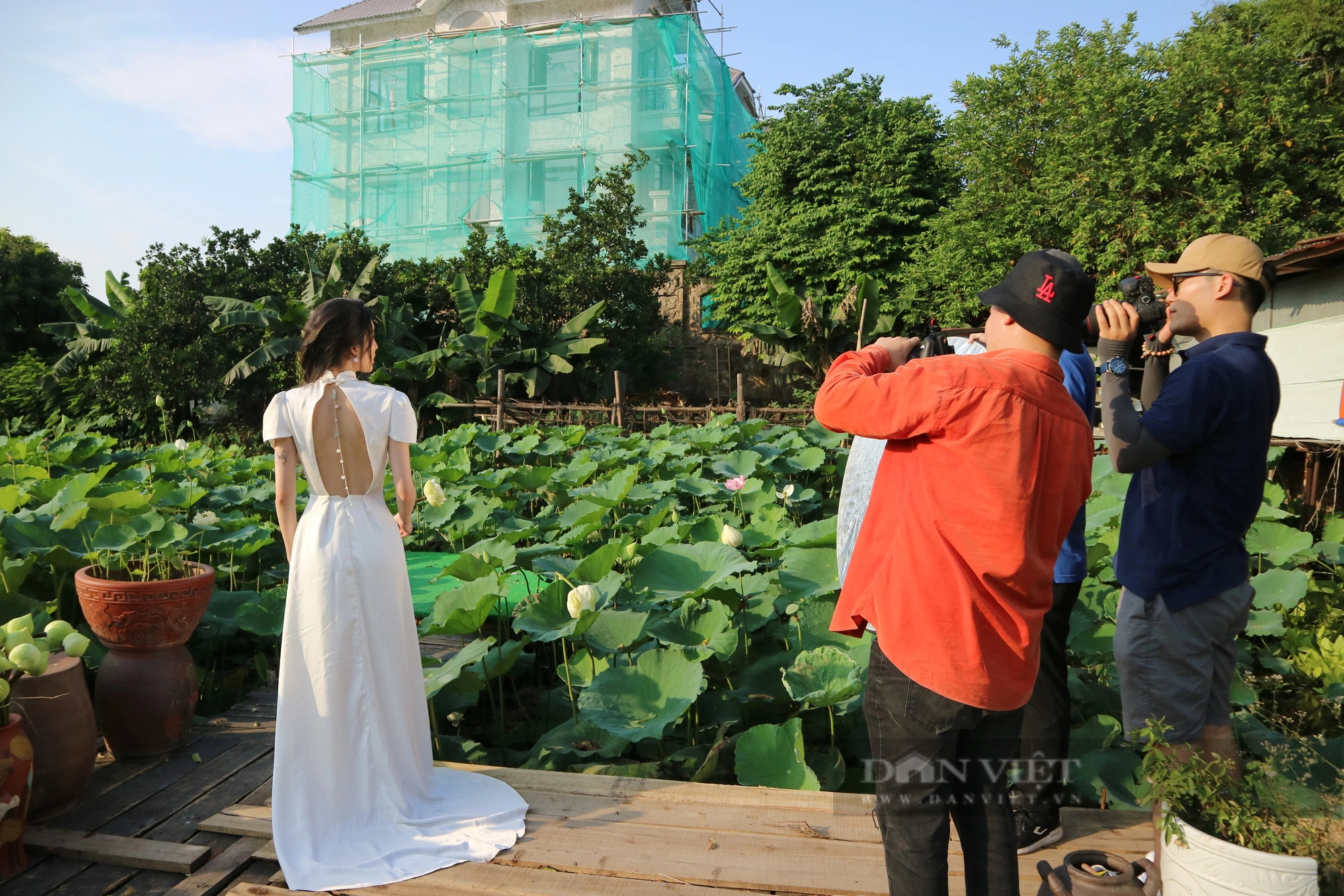 Chủ đầm sen tại Hà Nội bội thu nhờ mốt chụp ảnh hoa sen- Ảnh 6.