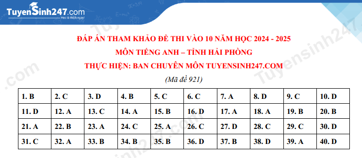 Đề thi môn Tiếng Anh vào lớp 10 năm 2024 của Hải Phòng có gợi ý đáp án- Ảnh 6.