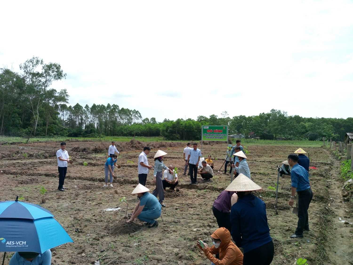 Hội Nông dân huyện Đầm Hà của Quảng Ninh phối hợp thực hiện mô hình trồng na thâm canh- Ảnh 2.