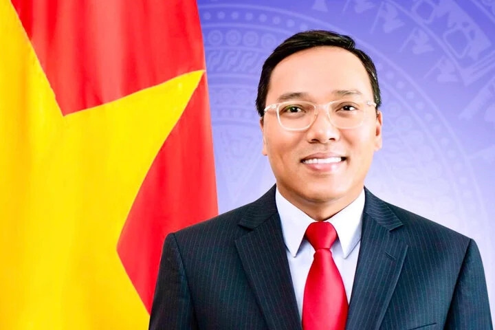 Thủ tướng bổ nhiệm Đại sứ Nguyễn Hoàng Long giữ chức Thứ trưởng Bộ Công Thương- Ảnh 1.