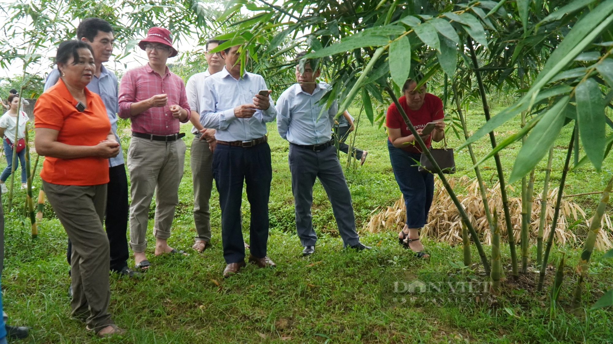 Việt Nam đã thu 350 triệu USD nhờ xuất khẩu các sản phẩm nông sản hữu cơ- Ảnh 4.