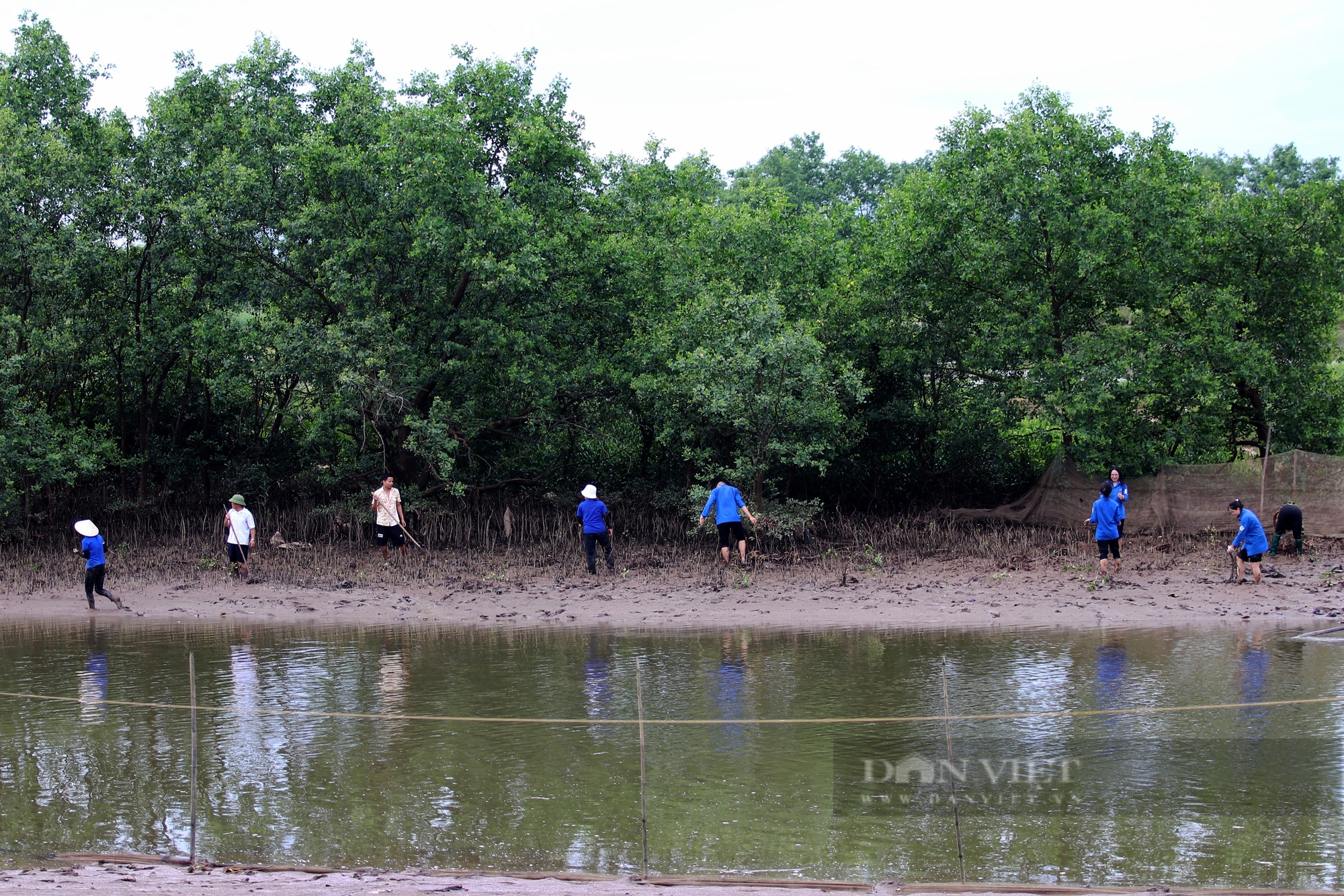 Hàng trăm thanh niên lội bùn trồng cây hưởng ứng Ngày Môi trường thế giới ở Hà Tĩnh- Ảnh 1.