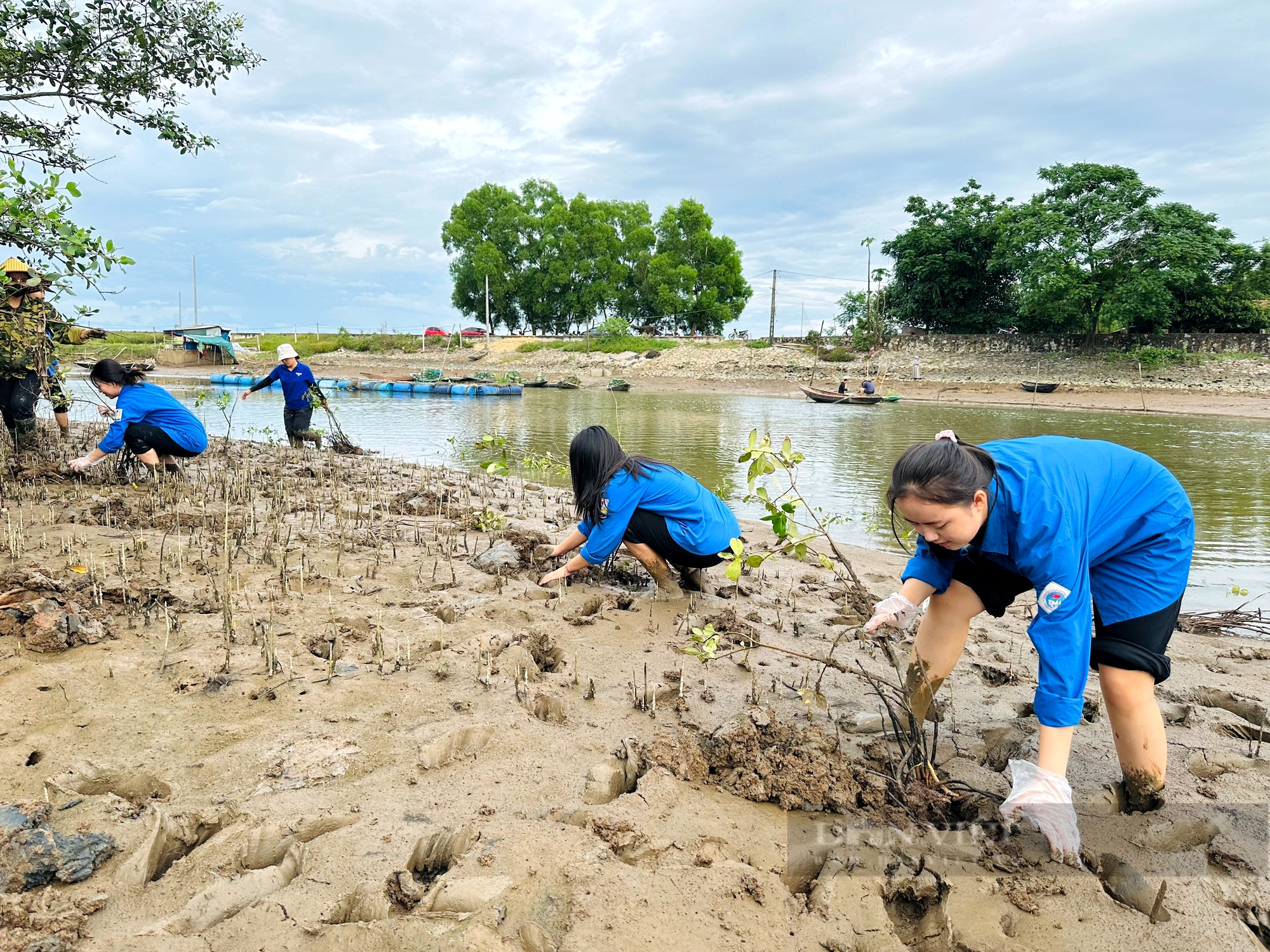 Hàng trăm thanh niên lội bùn trồng cây hưởng ứng Ngày Môi trường thế giới ở Hà Tĩnh- Ảnh 4.