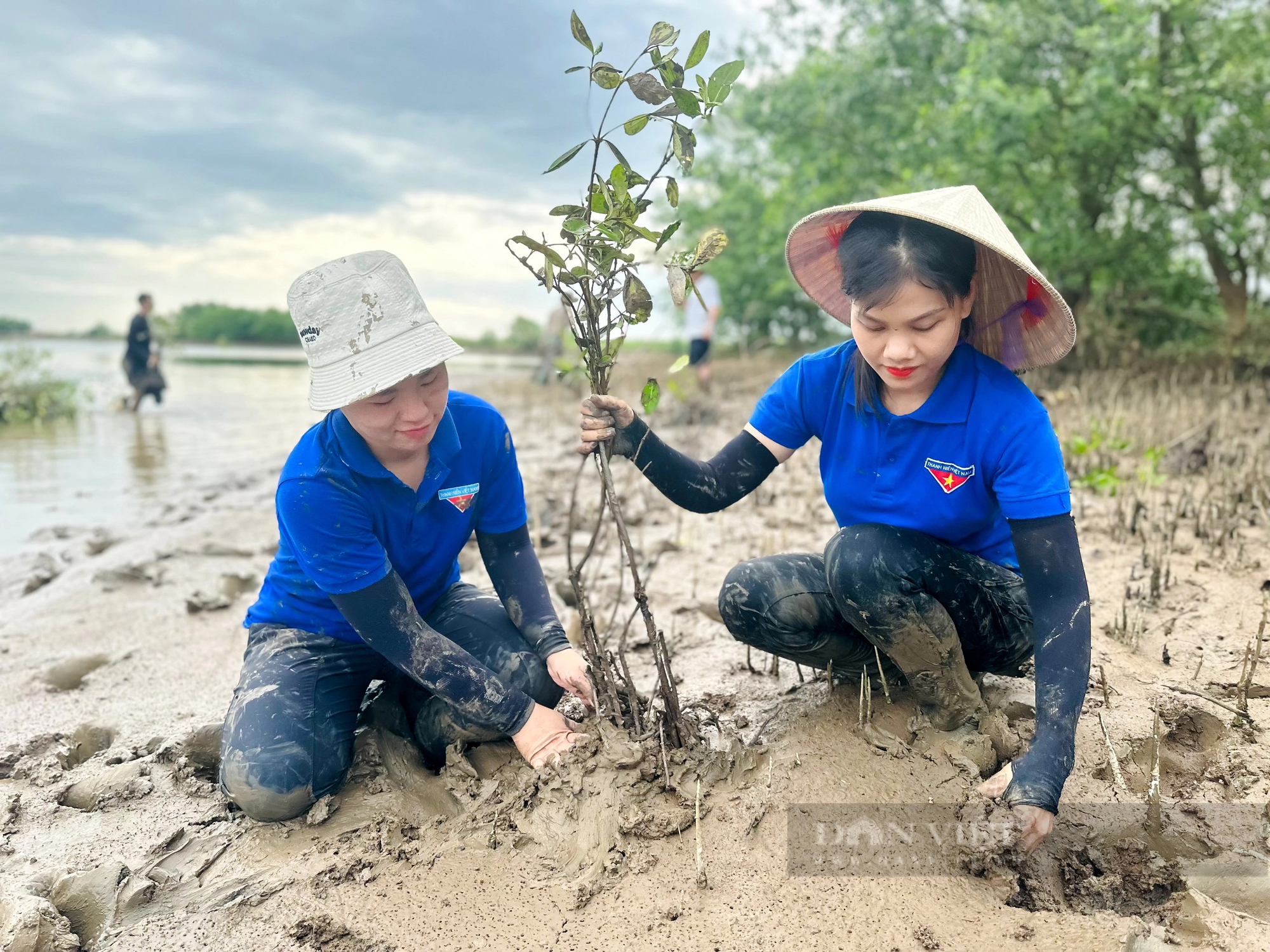 Hàng trăm thanh niên lội bùn trồng cây hưởng ứng Ngày Môi trường thế giới ở Hà Tĩnh- Ảnh 6.