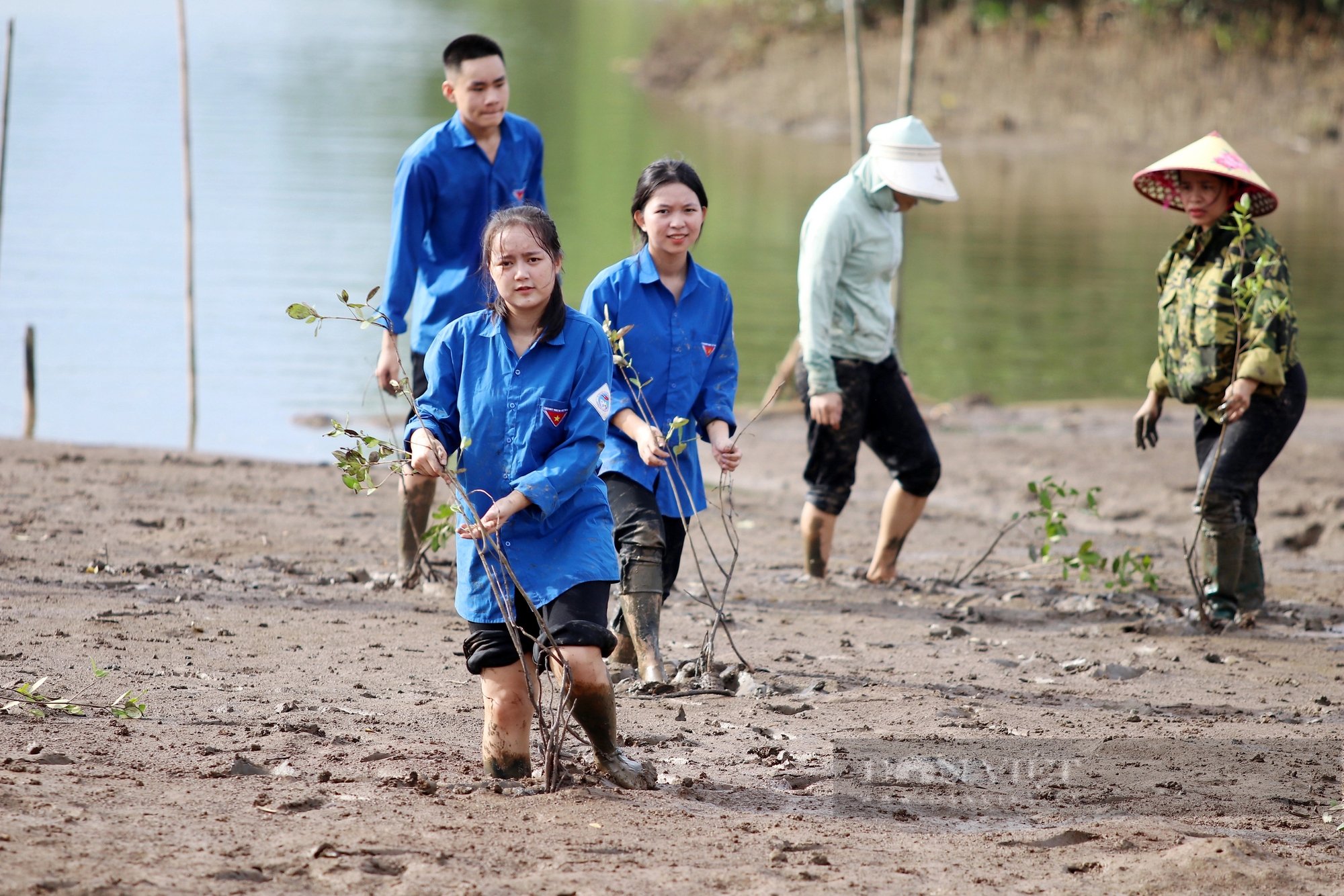 Hàng trăm thanh niên lội bùn trồng cây hưởng ứng Ngày Môi trường thế giới ở Hà Tĩnh- Ảnh 9.