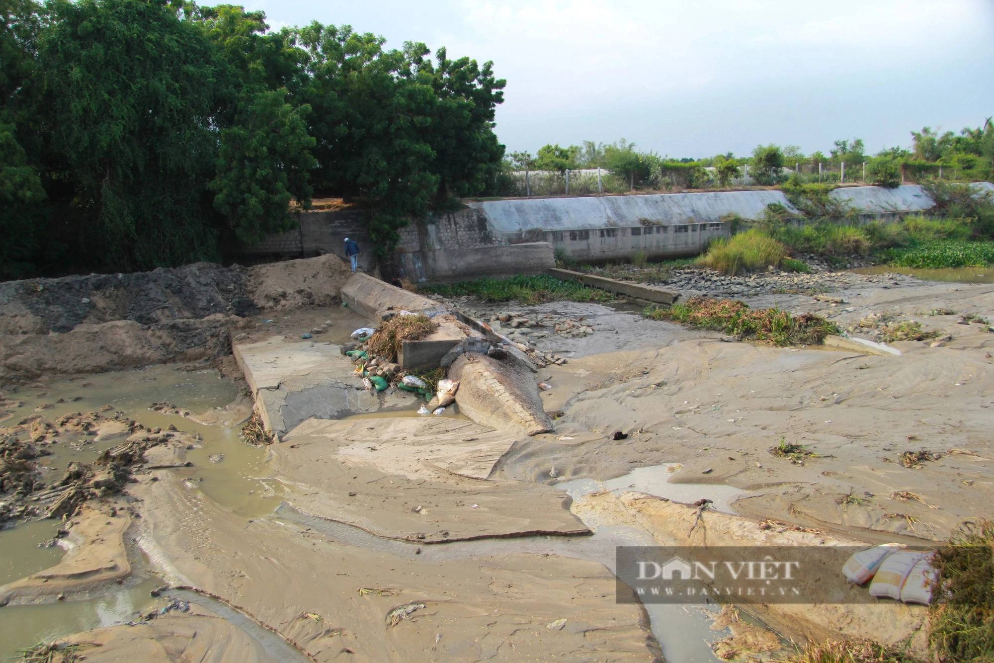 Vỡ đập dâng trên Sông Lu 2 ở Ninh Thuận, hàng trăm hecta cây trồng  nguy cơ thiếu nước- Ảnh 2.