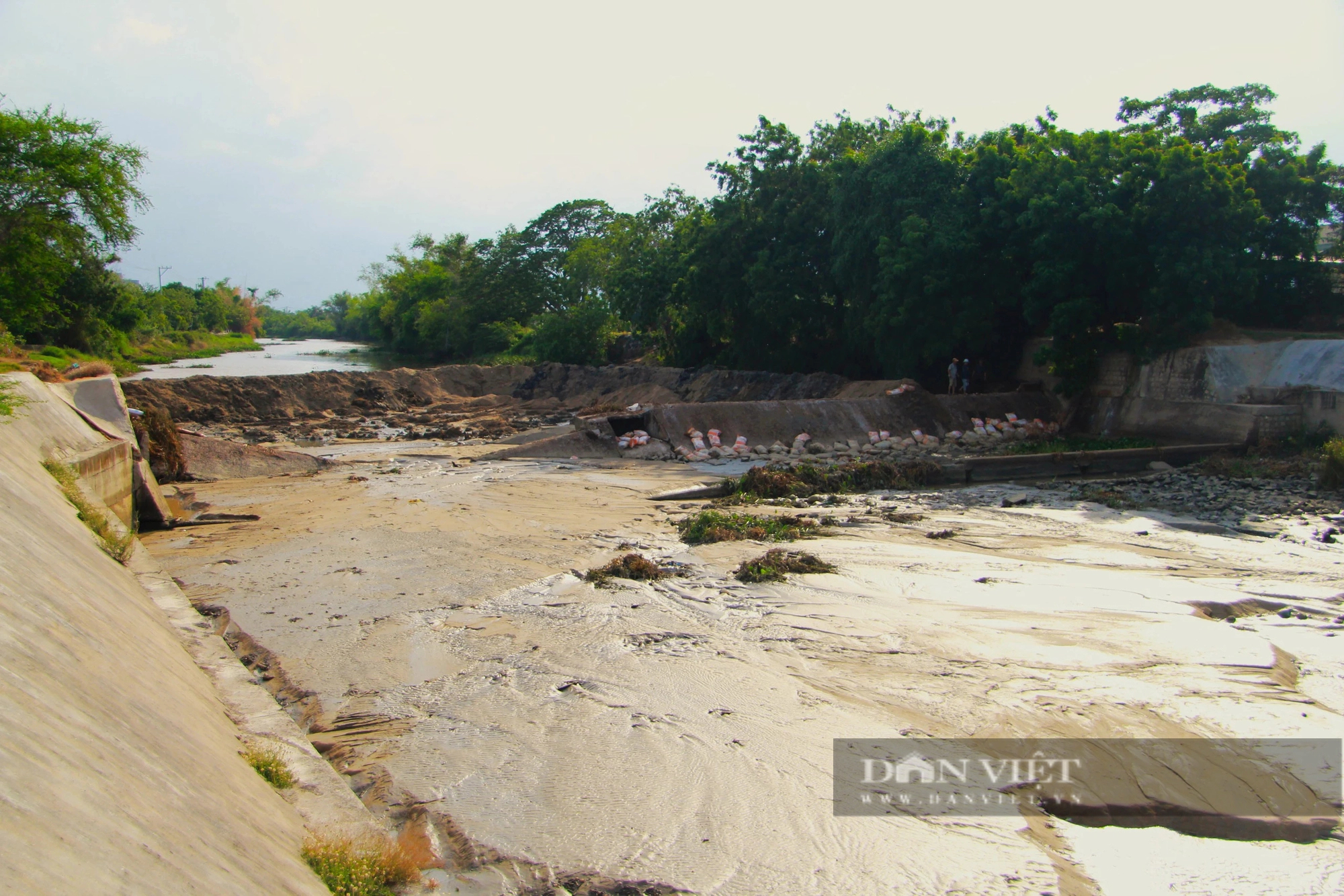 Vỡ đập dâng trên Sông Lu 2 ở Ninh Thuận, hàng trăm hecta cây trồng  nguy cơ thiếu nước- Ảnh 4.