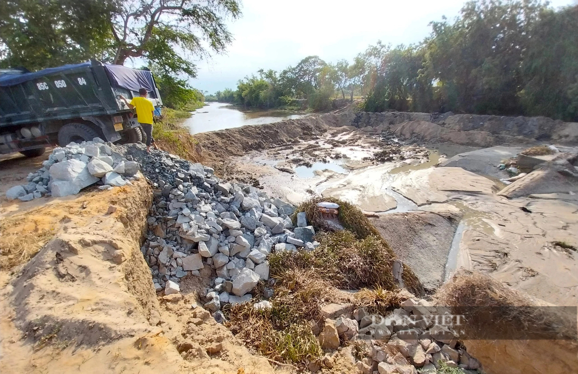 Vỡ đập dâng trên Sông Lu 2 ở Ninh Thuận, hàng trăm hecta cây trồng  nguy cơ thiếu nước- Ảnh 8.