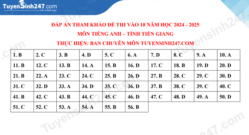 Đề thi môn Tiếng Anh vào lớp 10 năm 2024 của Tiền Giang có gợi ý đáp án- Ảnh 2.