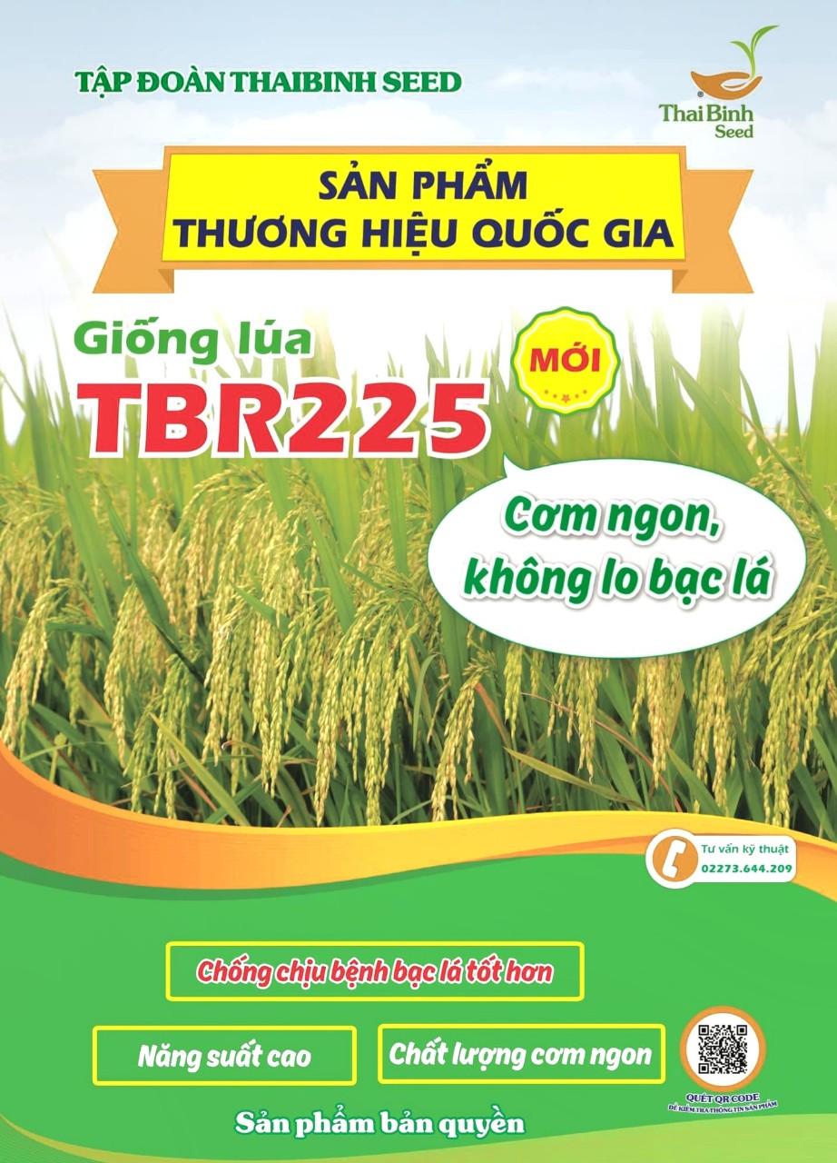 Giống lúa TBR225 tạo dấu ấn với nông dân tỉnh Ninh Bình- Ảnh 2.