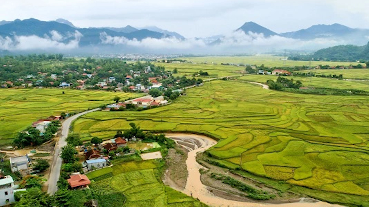 Đánh giá mô hình trình diễn phân bón hữu cơ Sông Lam Tây Bắc trên giống lúa thuần chất lượng Hà Phát 3- Ảnh 1.