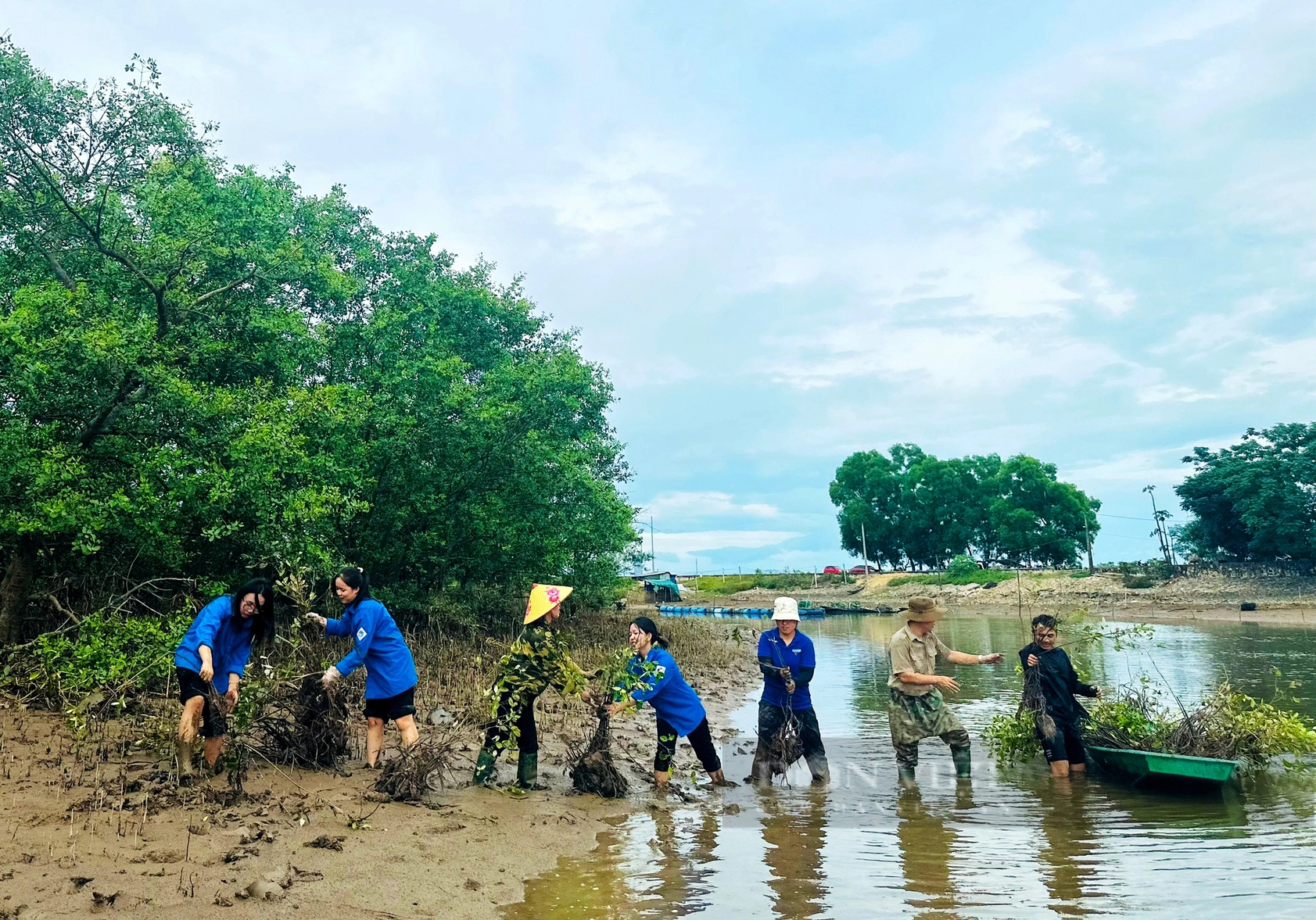 Hàng trăm thanh niên lội bùn trồng cây hưởng ứng Ngày Môi trường thế giới ở Hà Tĩnh- Ảnh 5.
