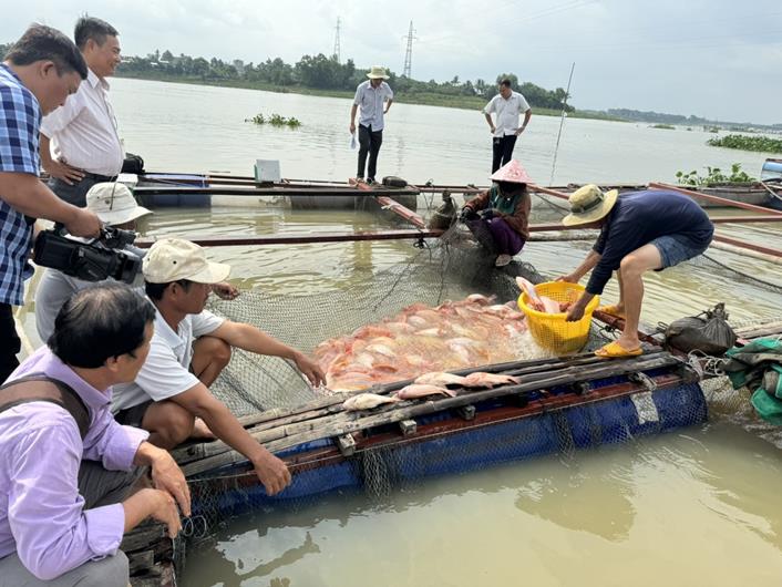 Nơi một hồ nước ngọt nổi tiếng Đồng Nai, vì sao dân nuôi cá lại buộc phải di chuyển vị trí đặt bè?- Ảnh 1.