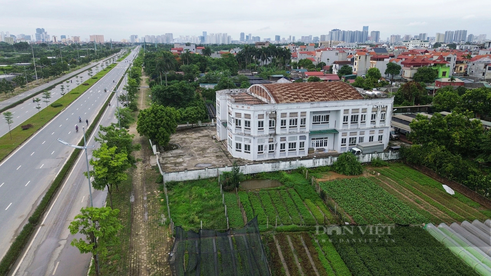 Chợ bỏ hoang ở Hà Nội: Ngôi chợ nằm giữa cánh đồng hoa 