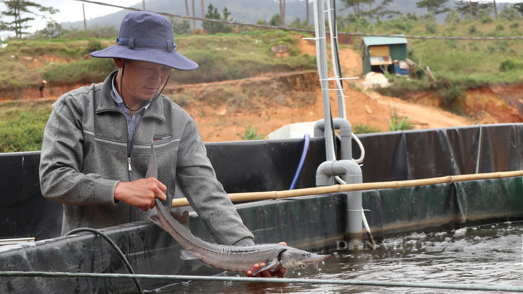 Phát triển cá nước lạnh qua 20 năm: Việt Nam có sản lượng gần 5.000 tấn- Ảnh 3.