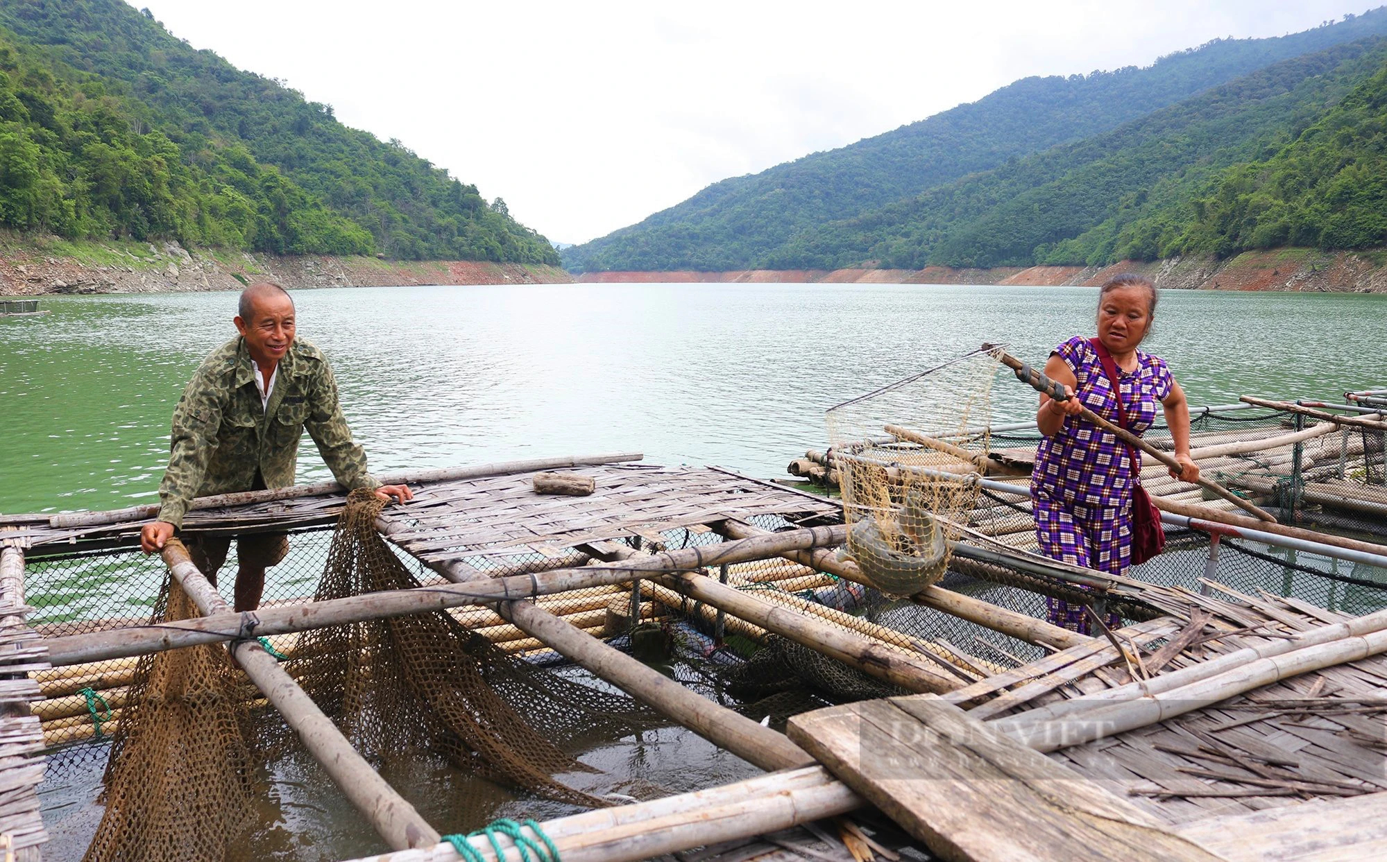 Nghệ An: Nuôi cá đặc sản ở hồ thủy điện lớn nhất Bắc Trung bộ, bắt toàn con to bự, hễ bán là hết- Ảnh 1.