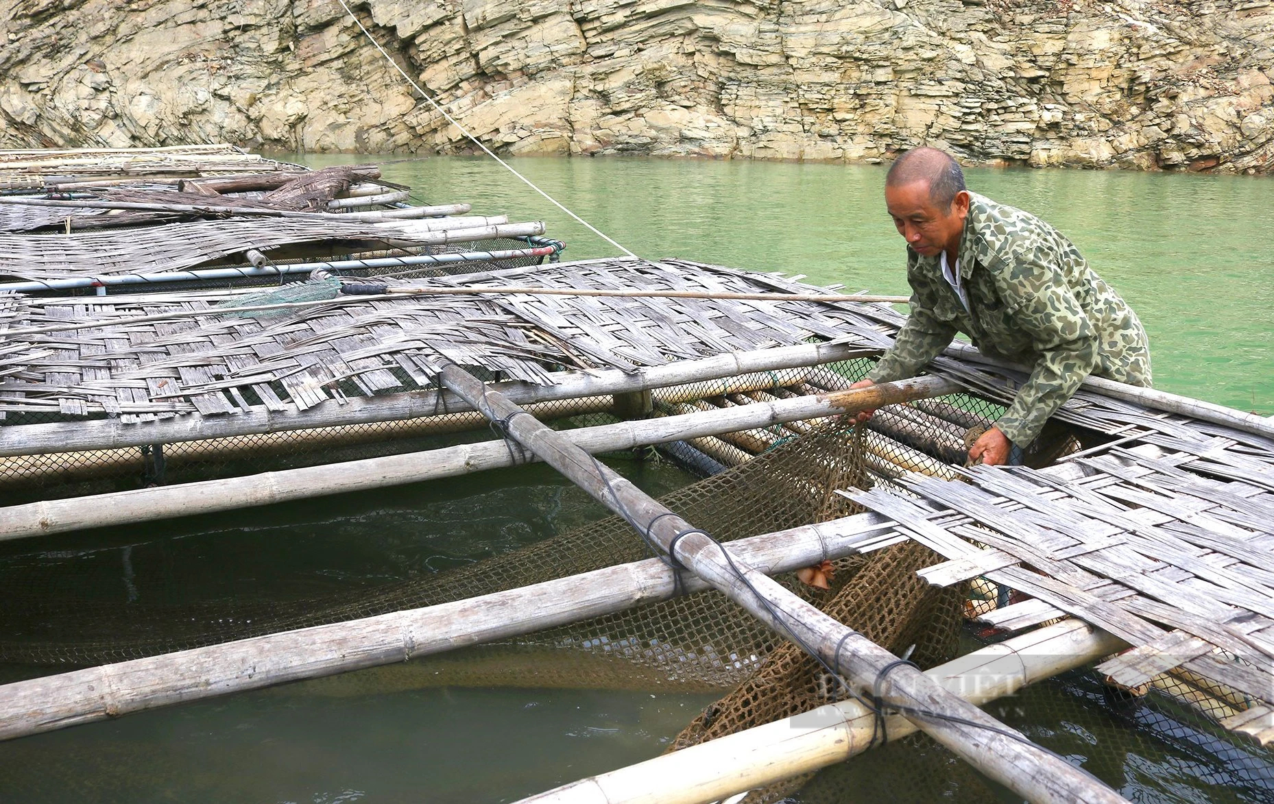 Nghệ An: Nuôi cá đặc sản ở hồ thủy điện lớn nhất Bắc Trung bộ, bắt toàn con to bự, hễ bán là hết- Ảnh 3.