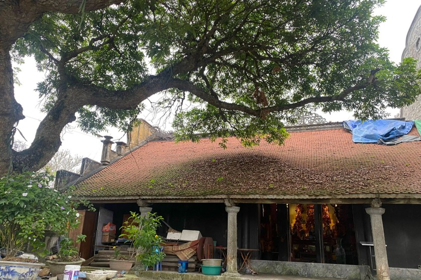 Chùa Bà Đanh ở Hải Phòng có Bảo vật quốc gia là 2 pho tượng cổ, cây gạo cổ thụ cao tuổi nhất Việt Nam- Ảnh 1.