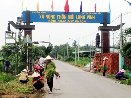 Đường hoa nông thôn mới ở một xã của Tiền Giang, hoa mười giờ, hoa sao nhái nở đẹp như phim- Ảnh 4.