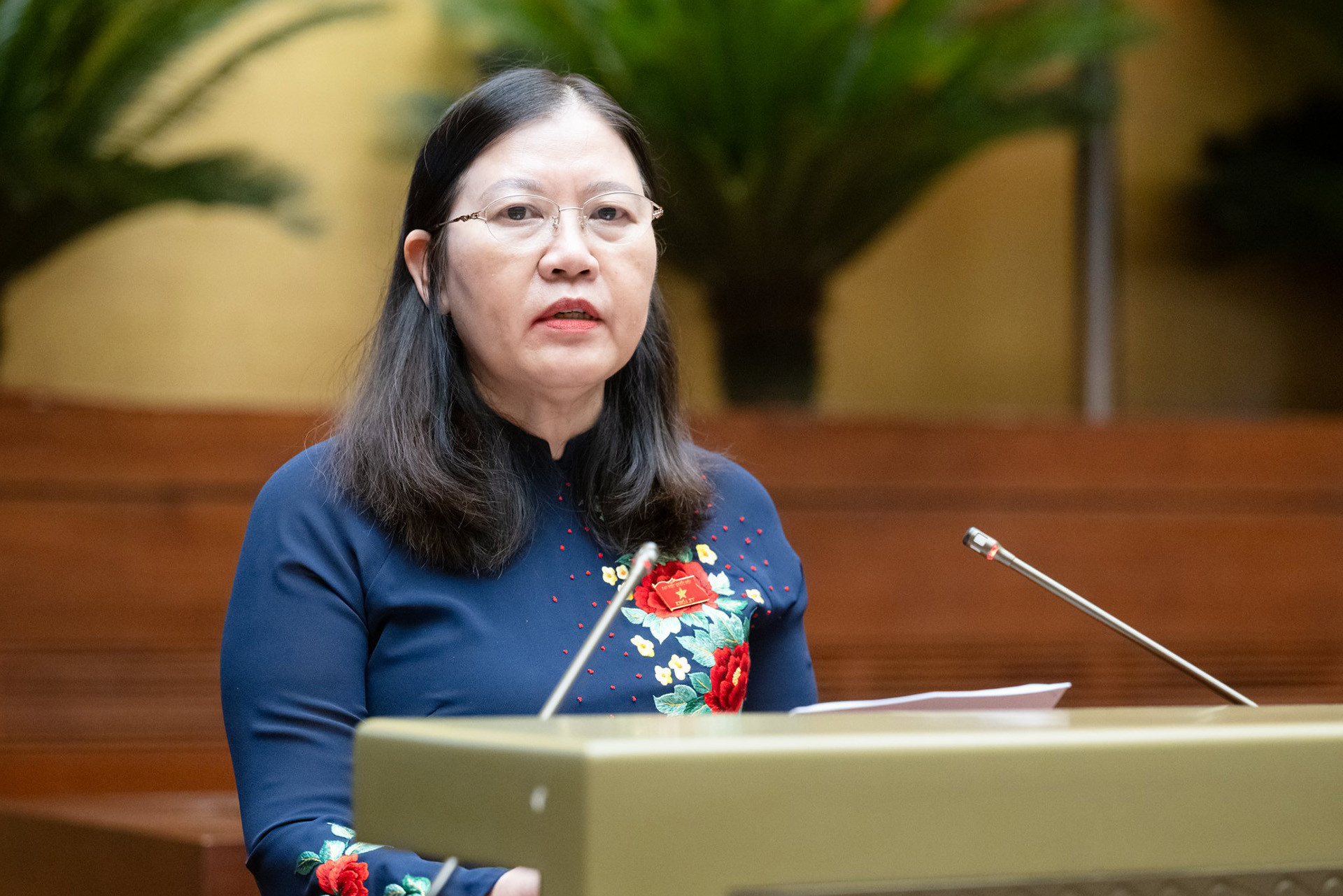 Bộ trưởng Bộ Công an Lương Tam Quang nêu lý do vì sao phải sửa Luật Phòng, chống mua bán người- Ảnh 3.