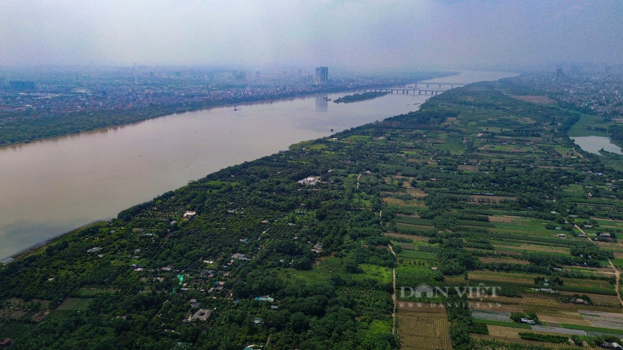 Ảnh ấn tượng tuần: Trường học thành nơi "nghỉ mát" cho bò, chợ dân sinh cỏ mọc vượt đầu người- Ảnh 10.