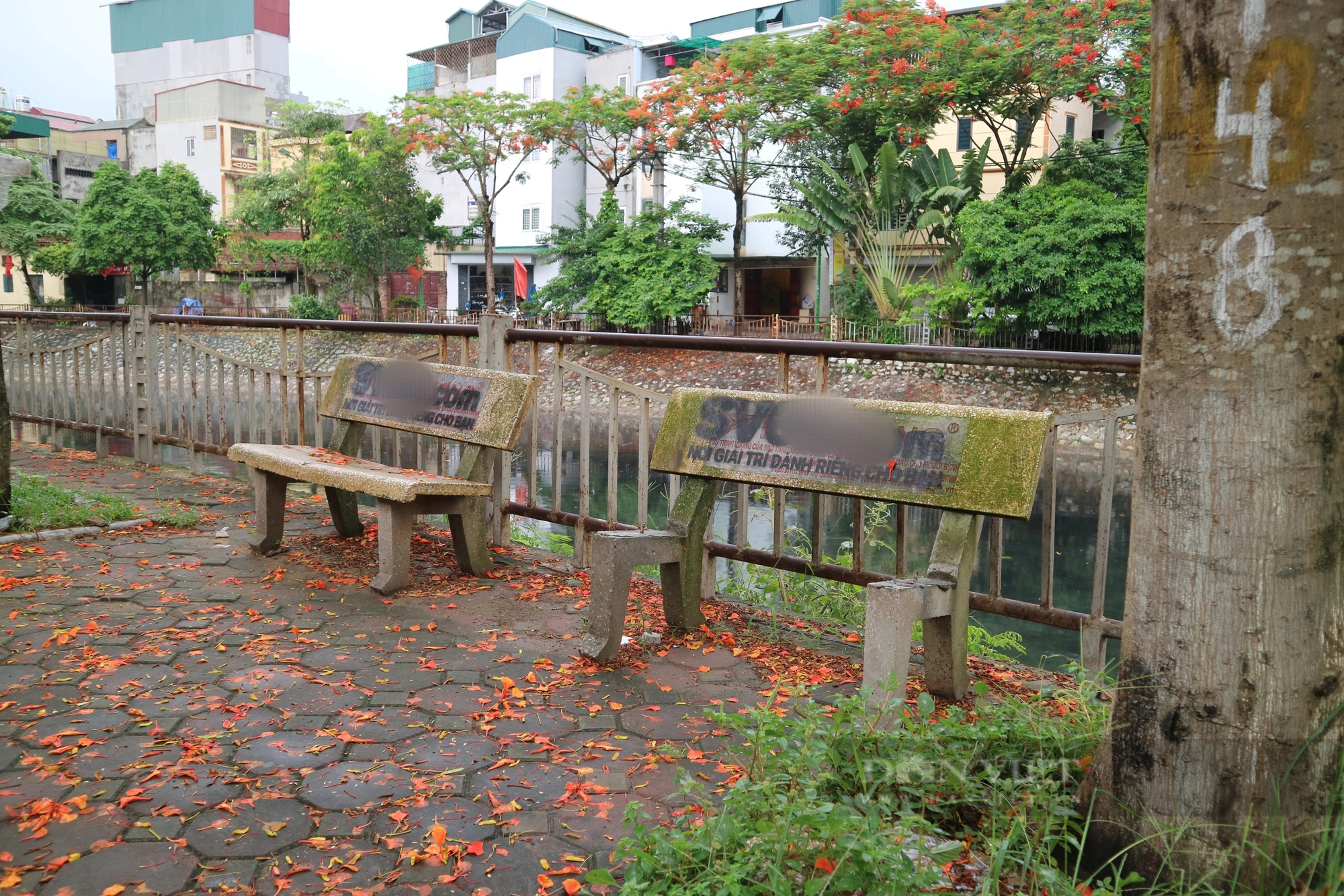 Hàng loạt ghế đá ở Hoàng Mai (Hà Nội) bị sơn quảng cáo cá độ- Ảnh 2.
