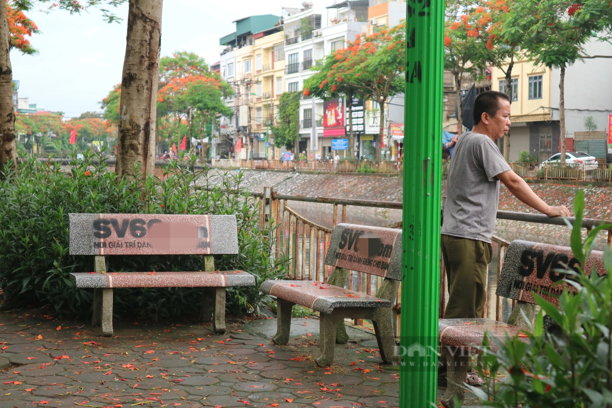 Hàng loạt ghế đá ở Hoàng Mai (Hà Nội) bị sơn quảng cáo cá độ- Ảnh 6.