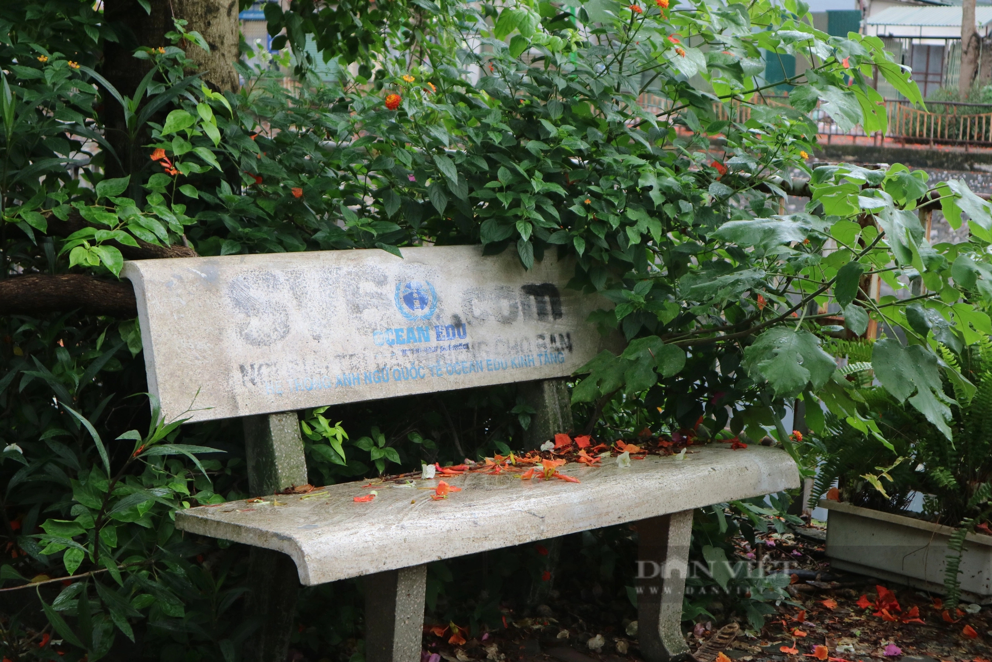 Hàng loạt ghế đá ở Hoàng Mai (Hà Nội) bị sơn quảng cáo cá độ- Ảnh 10.