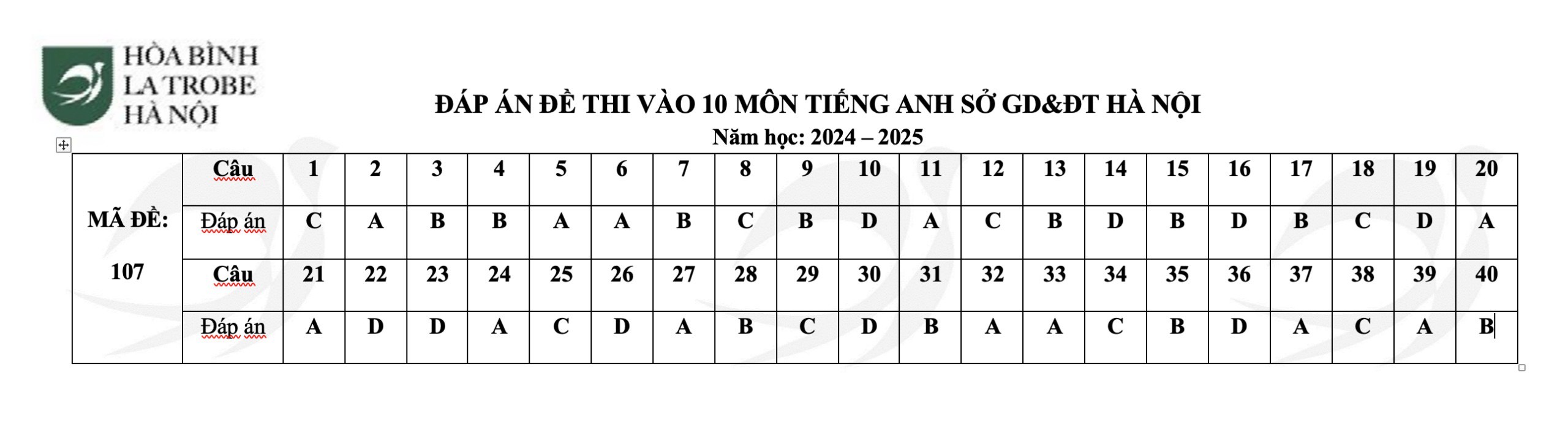 Gợi ý đáp án môn Tiếng Anh vào lớp 10 Hà Nội 2024 full mã đề- Ảnh 11.