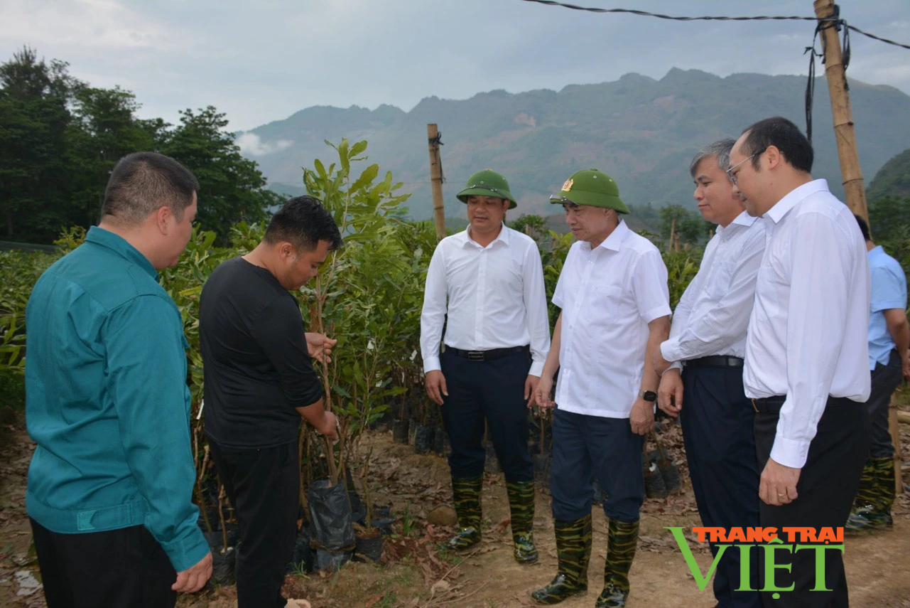 Khi người đứng đầu "nói đi đôi với làm": Lãnh đạo Tuần Giáo vào cuộc bằng hành động cụ thể (Bài 2)- Ảnh 1.