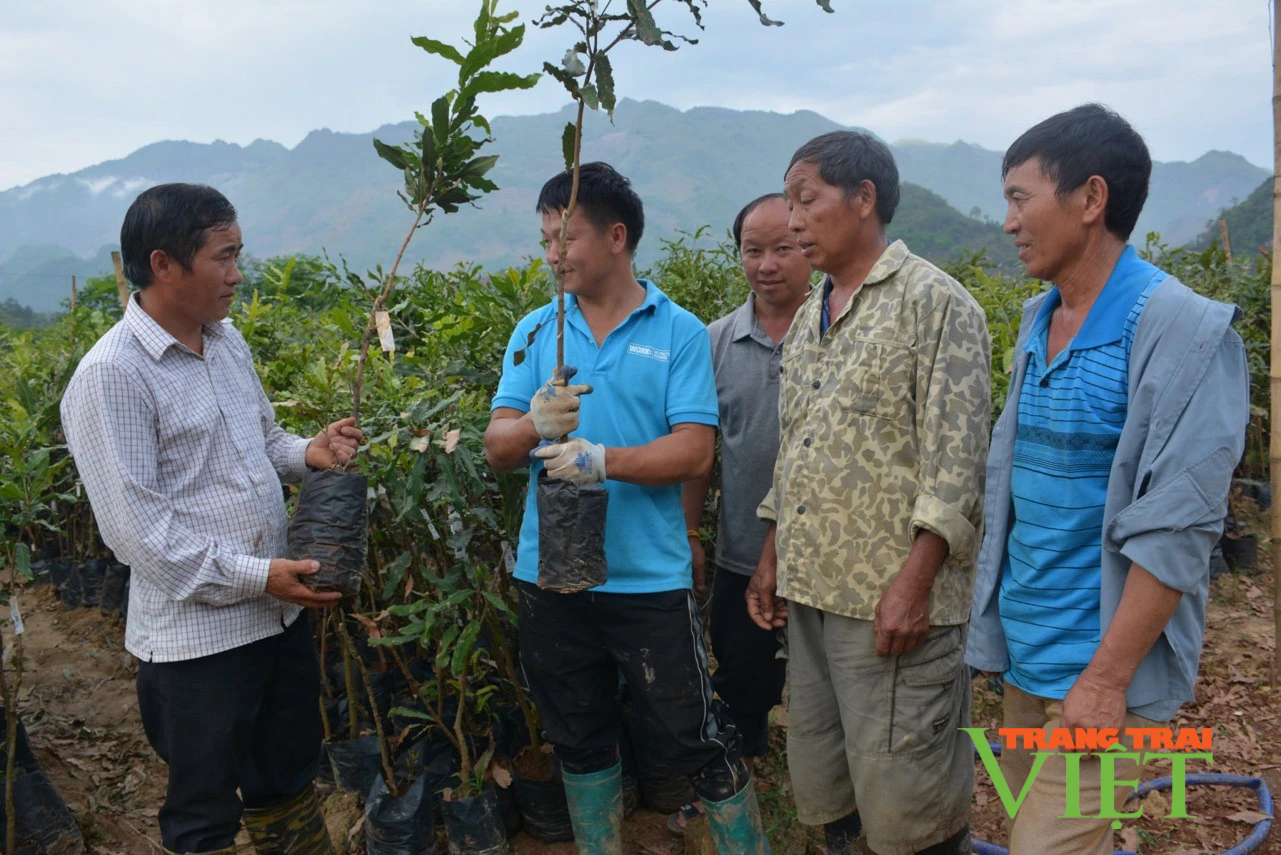 Khi người đứng đầu "nói đi đôi với làm": Lãnh đạo Tuần Giáo vào cuộc bằng hành động cụ thể (Bài 2)- Ảnh 3.