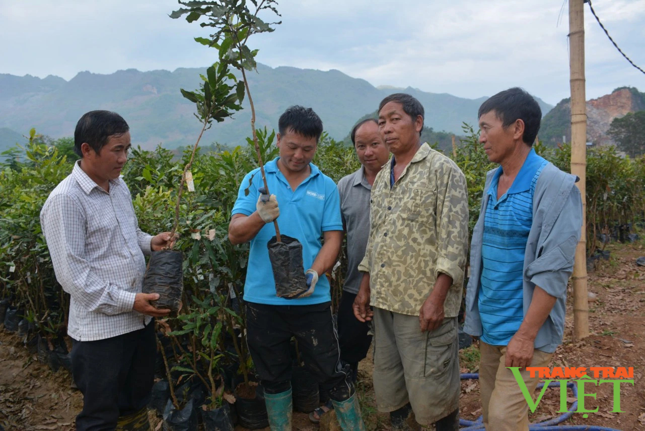 Khi người đứng đầu "nói đi đôi với làm": Thành quả là niềm tin nhân dân (Bài cuối) - Ảnh 2.