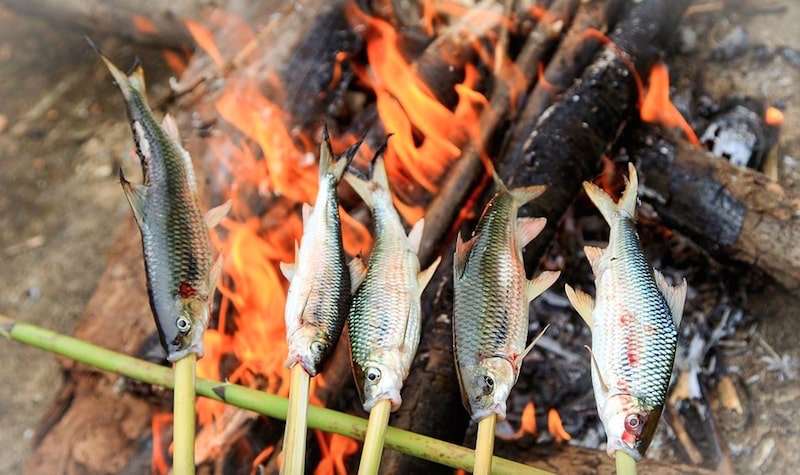 Một loài cá rất thông minh, sống ở các hang khe đá, là đặc sản của hiếm, cực ngon ở miền Tây xứ Nghệ- Ảnh 6.