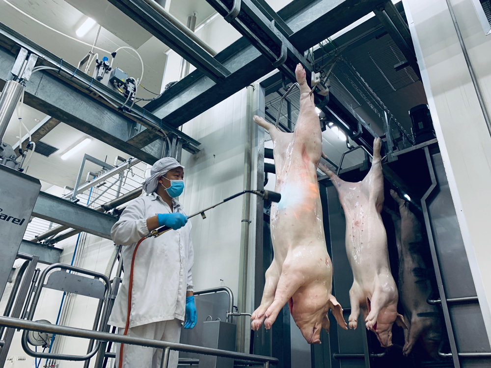 Một ngày Hà Nội tiêu thụ hơn 800 tấn thịt gia súc gia cầm nhưng chỉ 55% được kiểm dịch- Ảnh 2.
