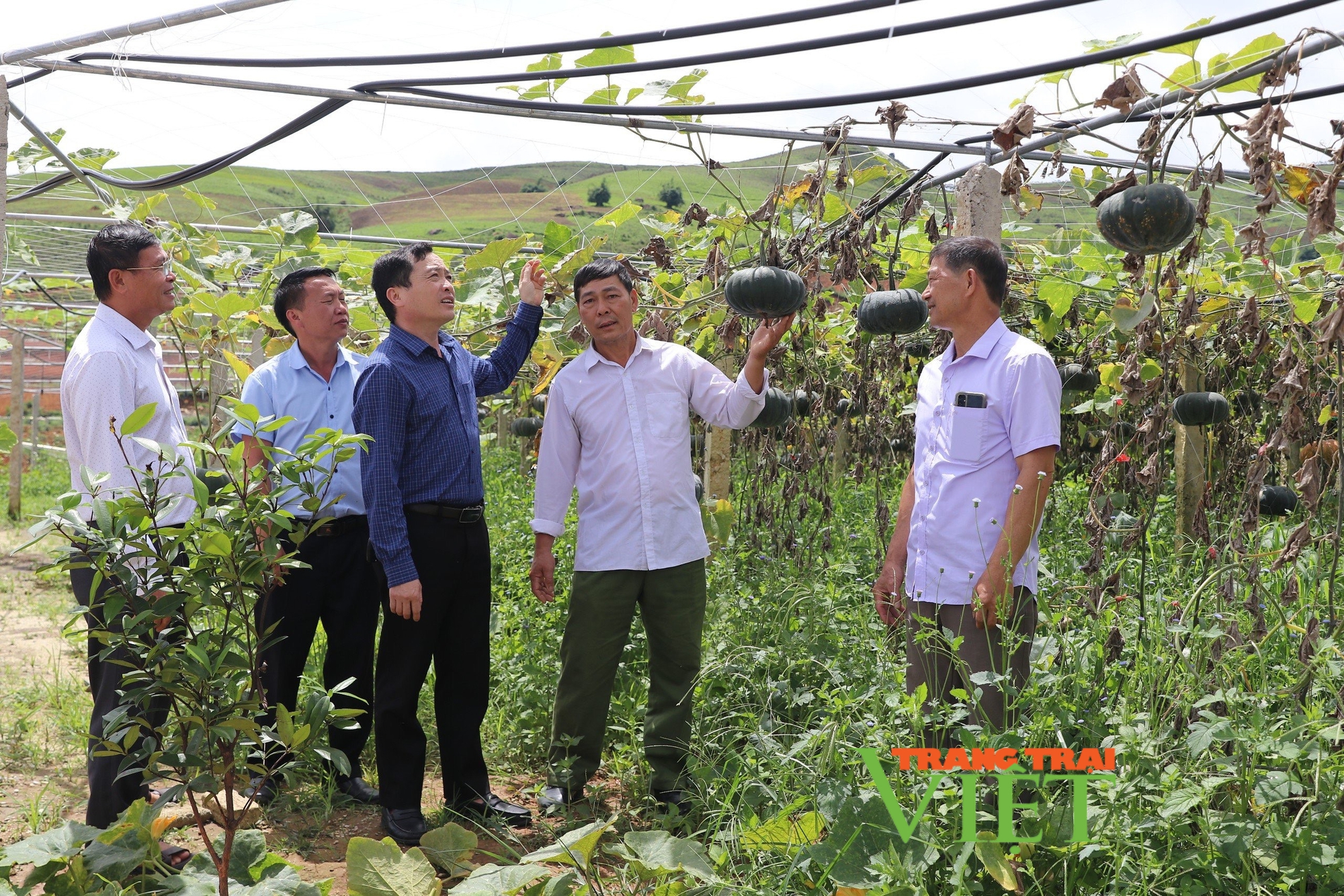 Đánh thức cao nguyên Si Pa Phìn: Thay đổi hoàn toàn nhận định về vùng đất (Bài 1)- Ảnh 3.