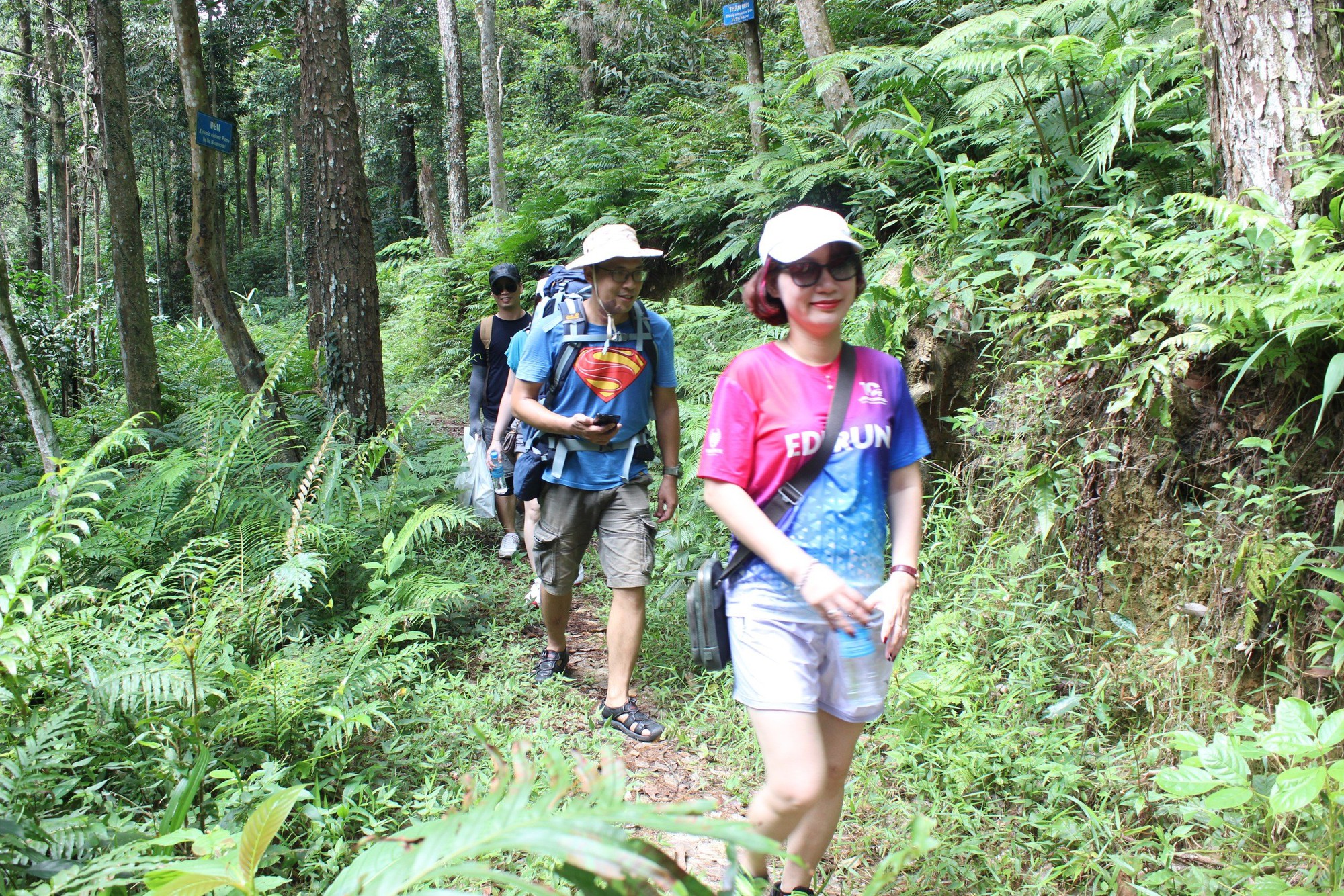 Vô khu rừng Tam Đảo phía Vĩnh Phúc, cách Hà Nội 70km thấy con động vật hoang dã mặt đỏ như tô son- Ảnh 1.