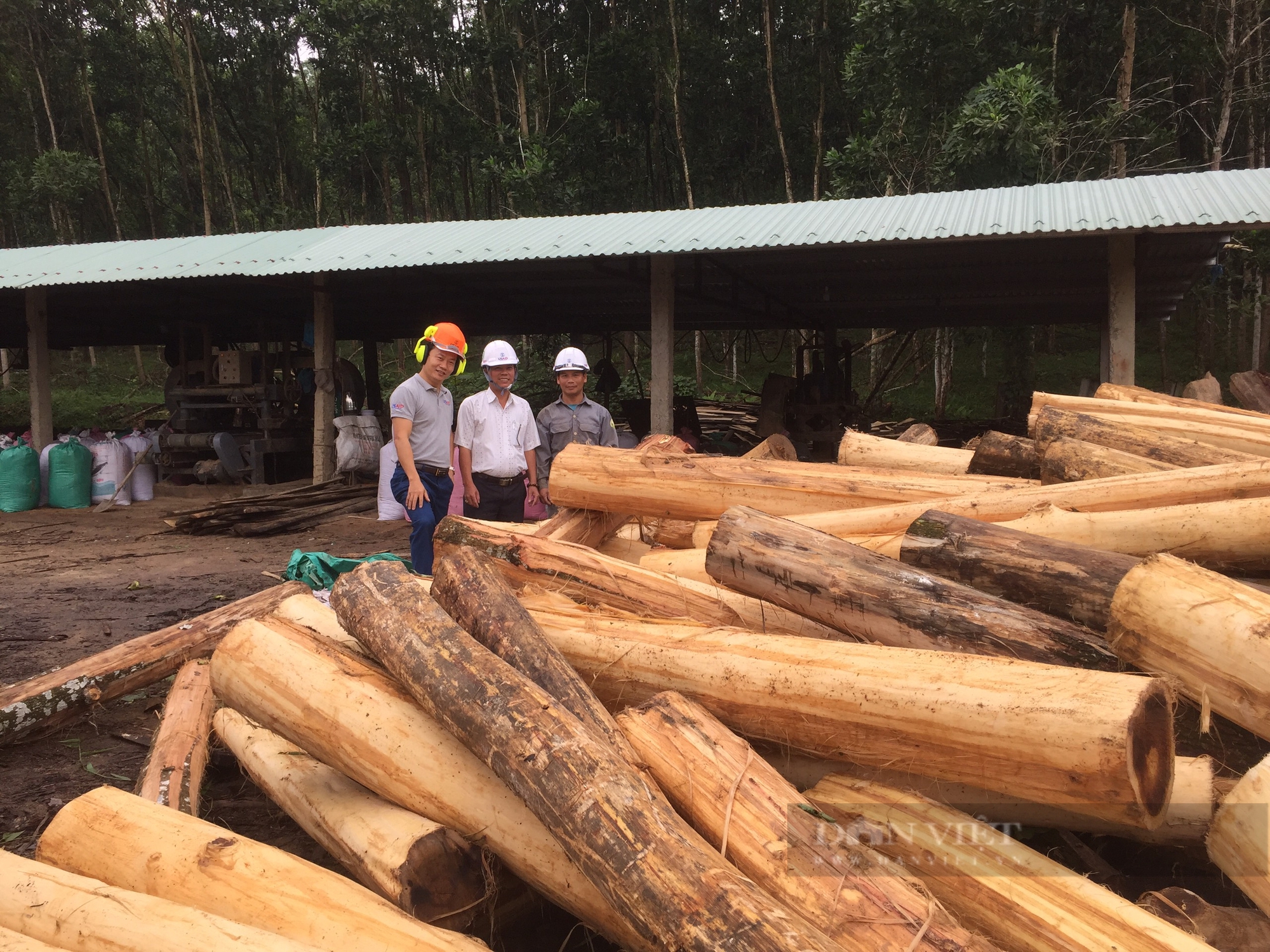 Mô hình hợp tác xã đang giúp nông dân huyện Hiệp Đức ở Quảng Nam ngày càng khá giả lên- Ảnh 6.