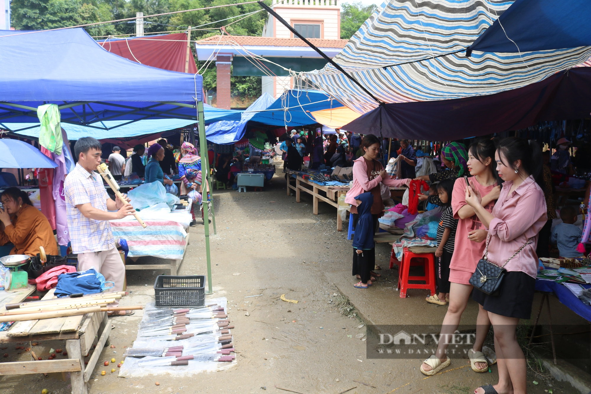 Vô một chợ phiên ở Lào Cai thấy cái chổi bó bằng cây mía, chim họa mi hót líu lo, rau rừng la liệt- Ảnh 7.