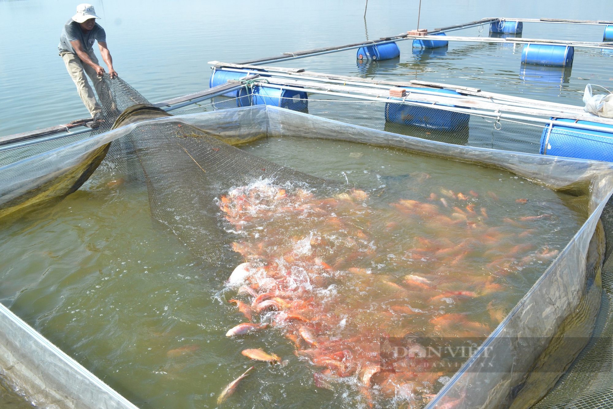 Giám đốc Sở NNPTNT Quảng Nam: Không có chuyện cho nợ tiêu chí để được đạt chuẩn nông thôn mới- Ảnh 6.