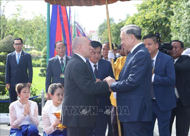 Chủ tịch nước Tô Lâm hội kiến Quốc vương Campuchia Norodom Sihamoni- Ảnh 1.