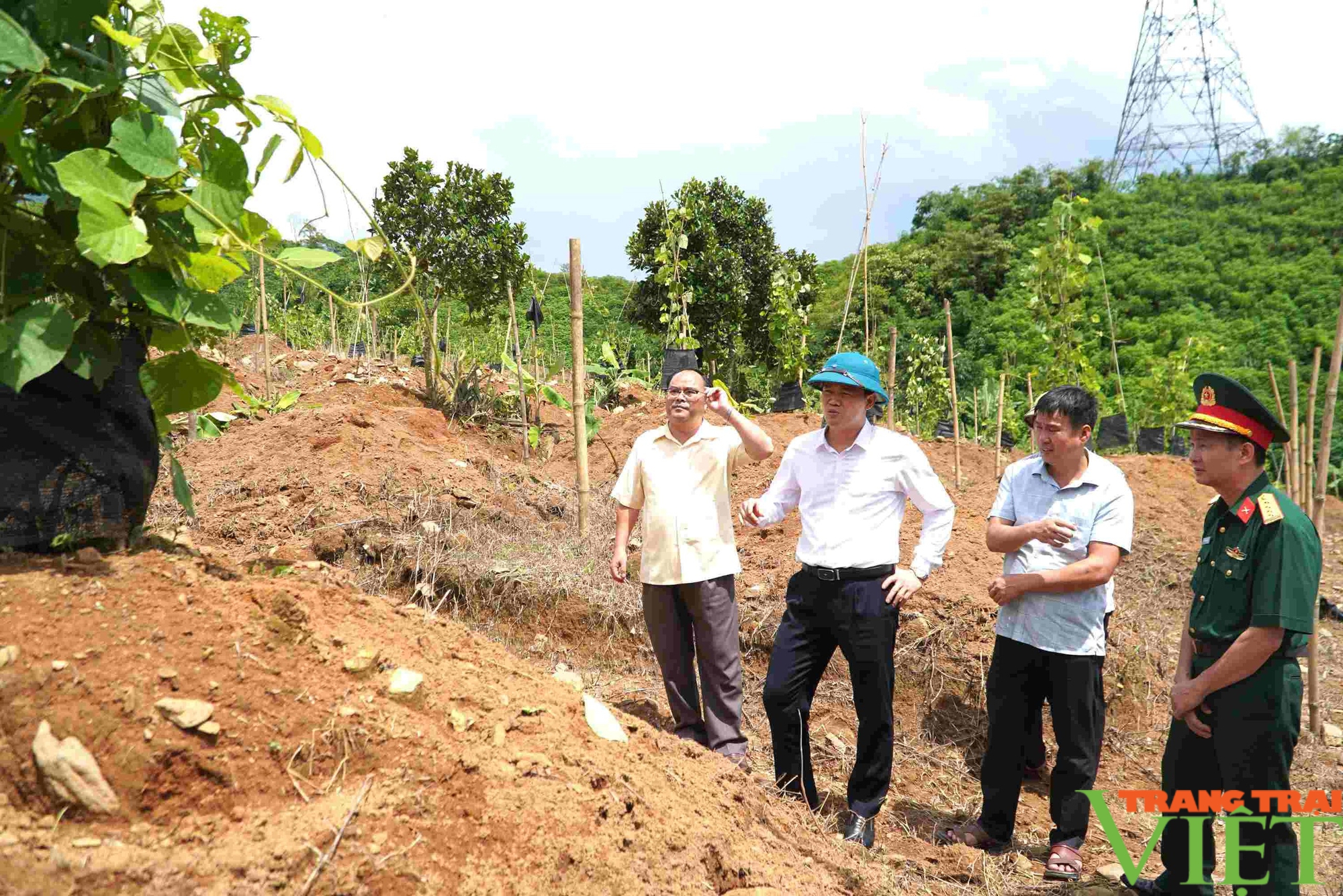 Phó Bí thư Thường trực Tỉnh ủy Lai Châu Vũ Mạnh Hà đến thăm và tặng quà các gia đình chính sách- Ảnh 3.