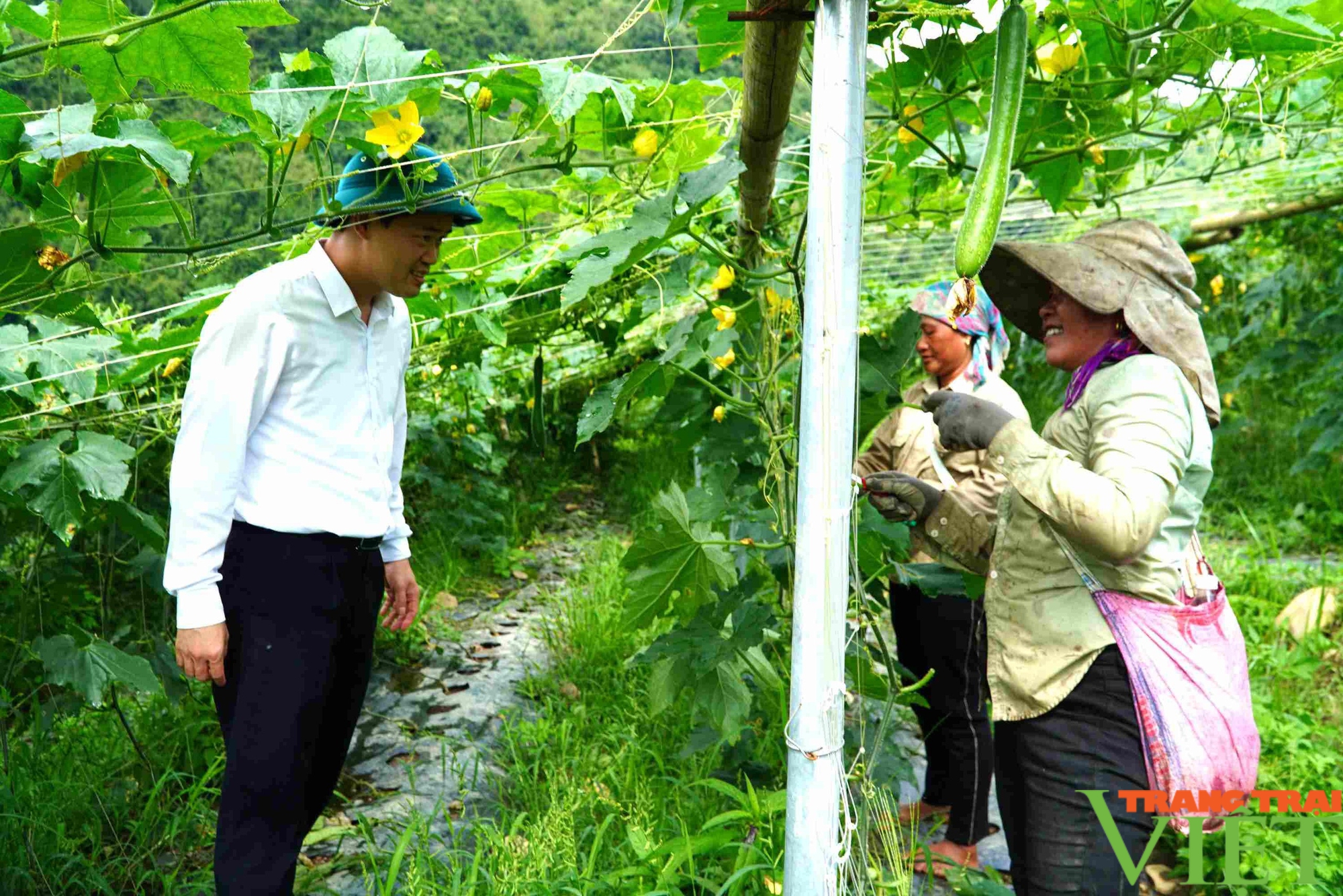 Phó Bí thư Thường trực Tỉnh ủy Lai Châu Vũ Mạnh Hà đến thăm và tặng quà các gia đình chính sách- Ảnh 4.