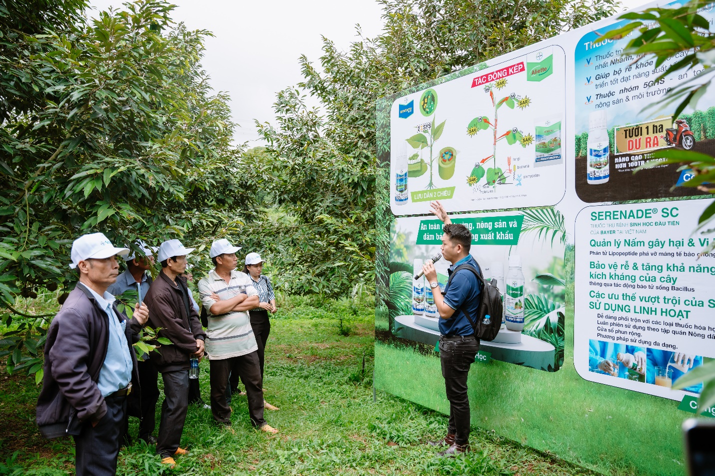 Cột mốc quan trọng sau gần 1 năm triển khai “Canh tác Sầu riêng Bền vững”- Ảnh 3.