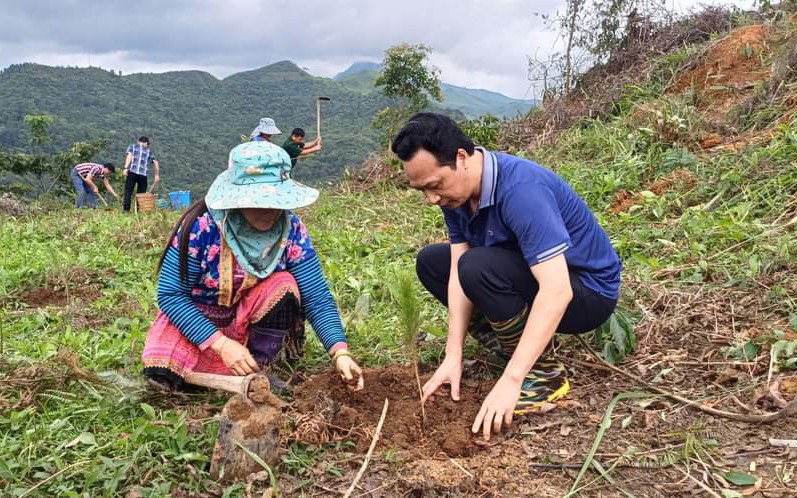 Hiệu quả công tác trồng rừng thay thế ở Điện Biên