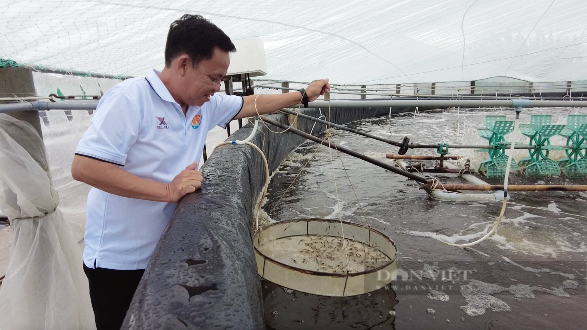 Nông dân Trà Vinh ứng dụng chuyển đổi số trong nuôi tôm, trồng dưa lưới, có nông dân xuất sắc thu 8-9 tỷ/năm- Ảnh 1.