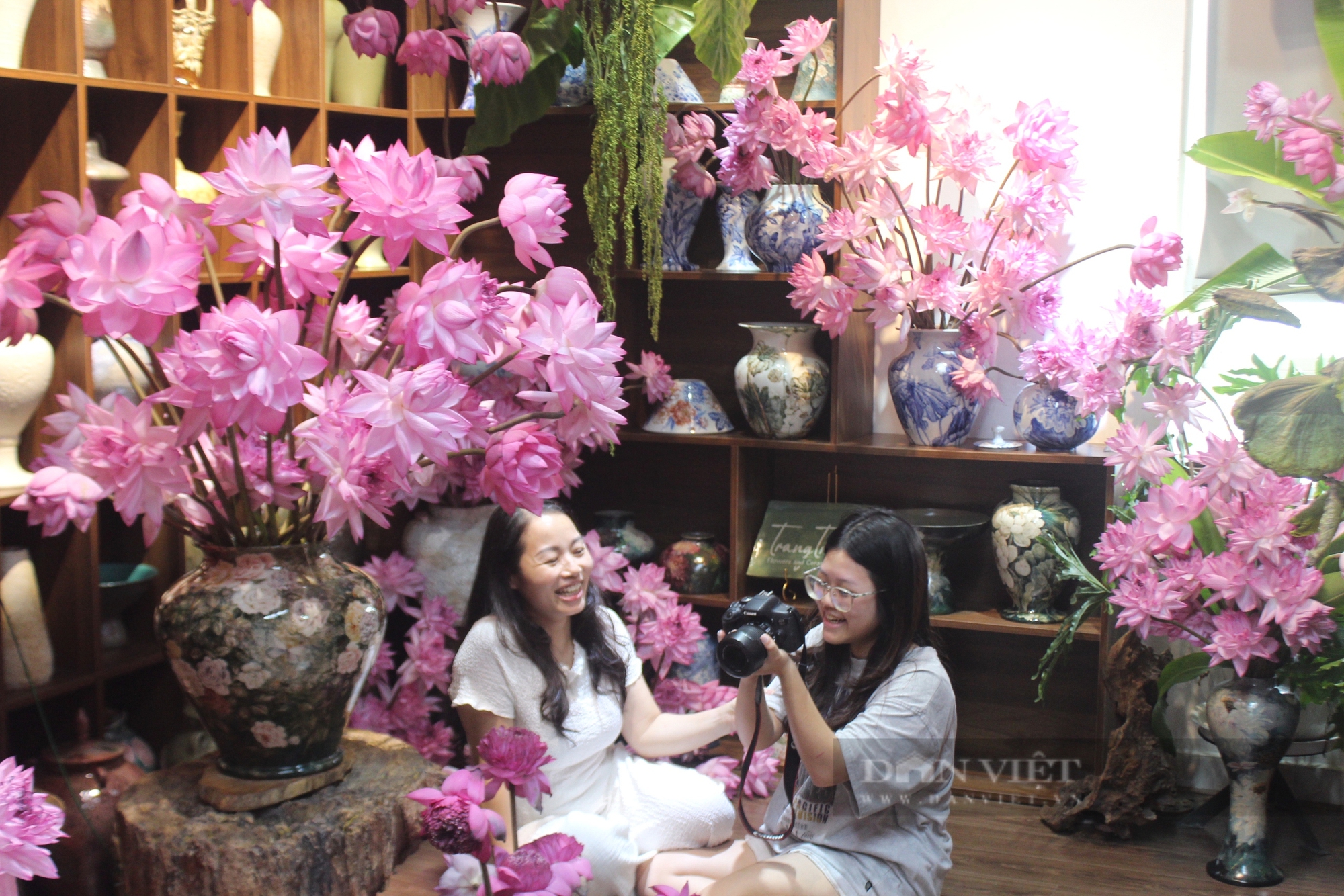 Người phụ nữ Hà thành “chịu chơi” chi tiền mua 1 nghìn bông sen trang trí để chị em đến chụp ảnh