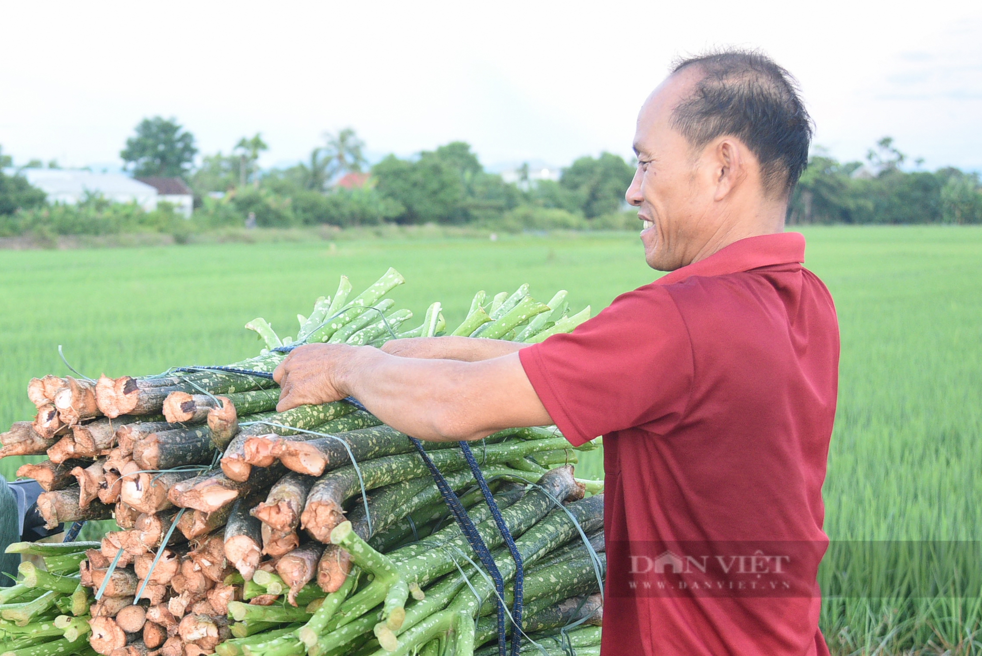 Về sông Bồ thưởng thức món canh chột nưa đã đi vào thi ca- Ảnh 5.