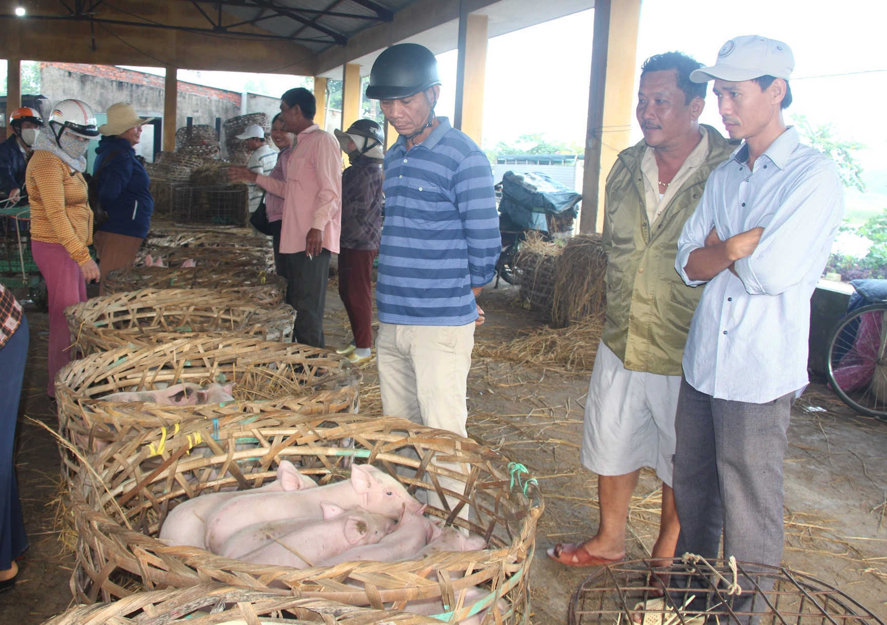 Một ngôi chợ đặc biệt ở Quảng Nam, bán heo theo kiểu rất lạ đời chẳng giống ở đâu, đó là bồng heo để bán- Ảnh 6.